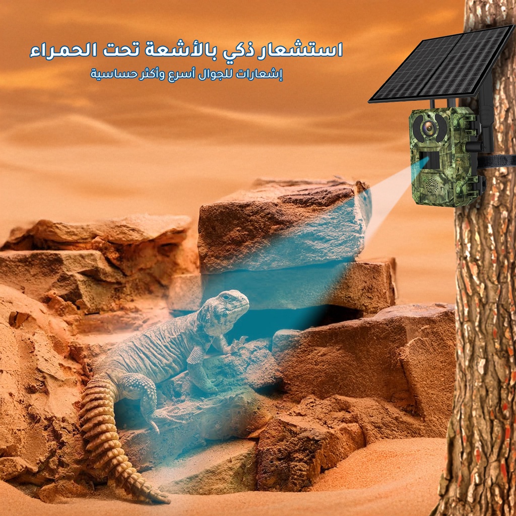 كاميرا الرحالة من ميجا 