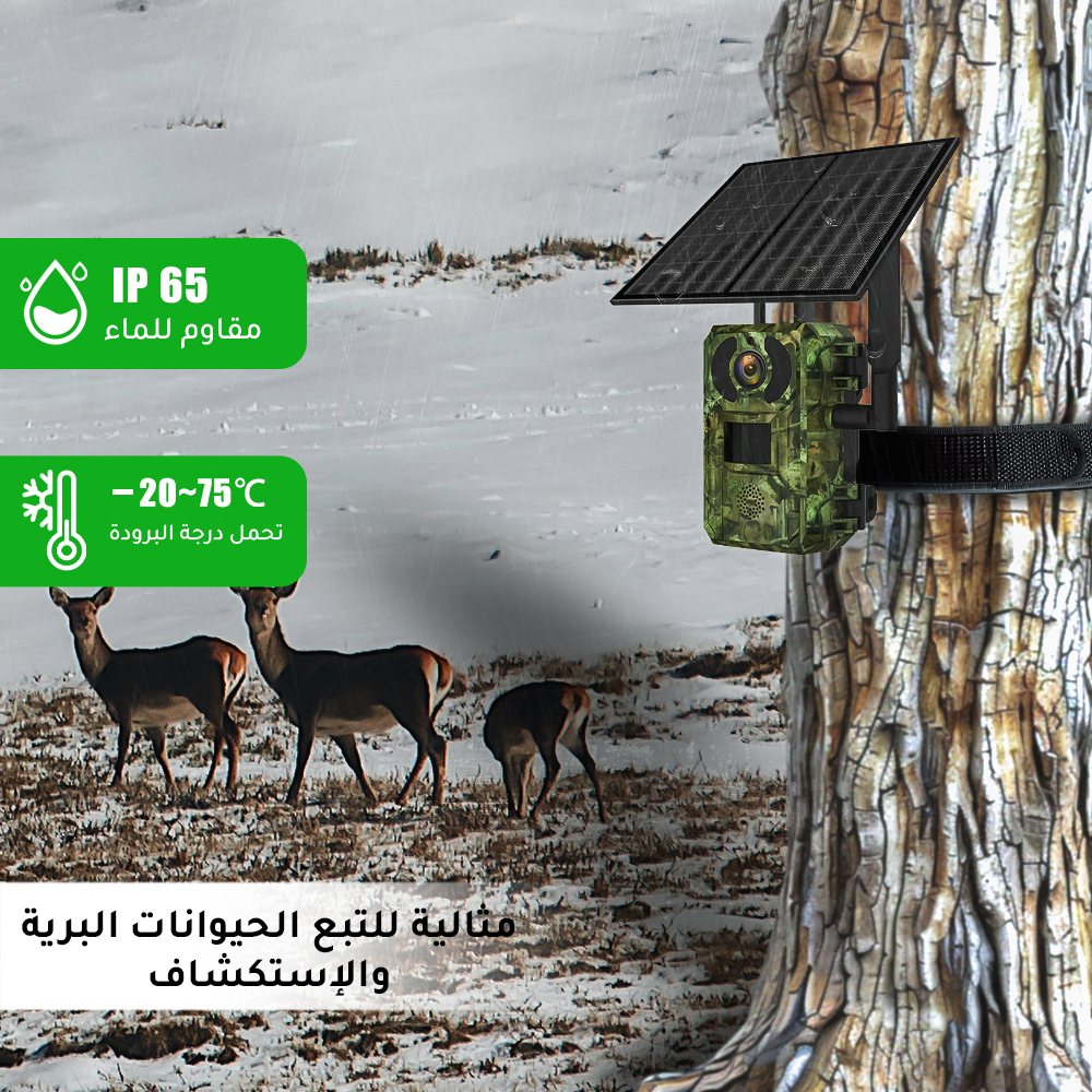 كاميرا الرحالة من ميجا 