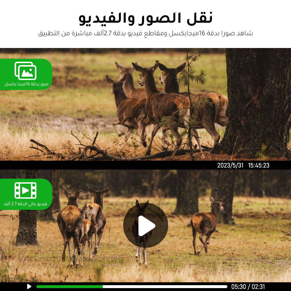 كاميرا الرحالة من ميجا 