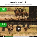 كاميرا الرحالة من ميجا 